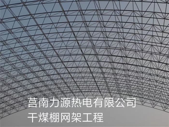津南力源热电有限公司干煤棚网架工程